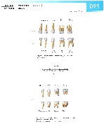 Sobotta Atlas of Human Anatomy  Head,Neck,Upper Limb Volume1 2006, page 102